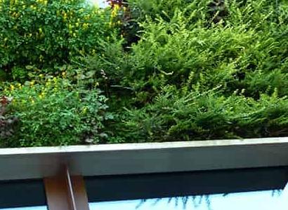 Environmental Friendly Architecture Design Consultant